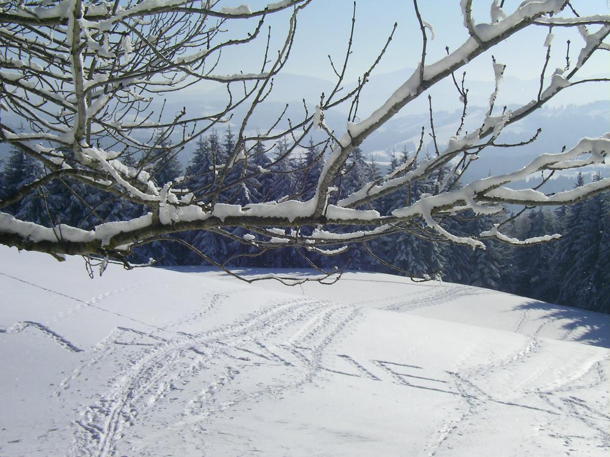 Das Allgaeu ไมเออร์เฮอเฟน ภายนอก รูปภาพ